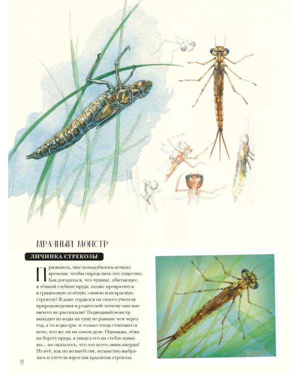 Музей живых насекомых