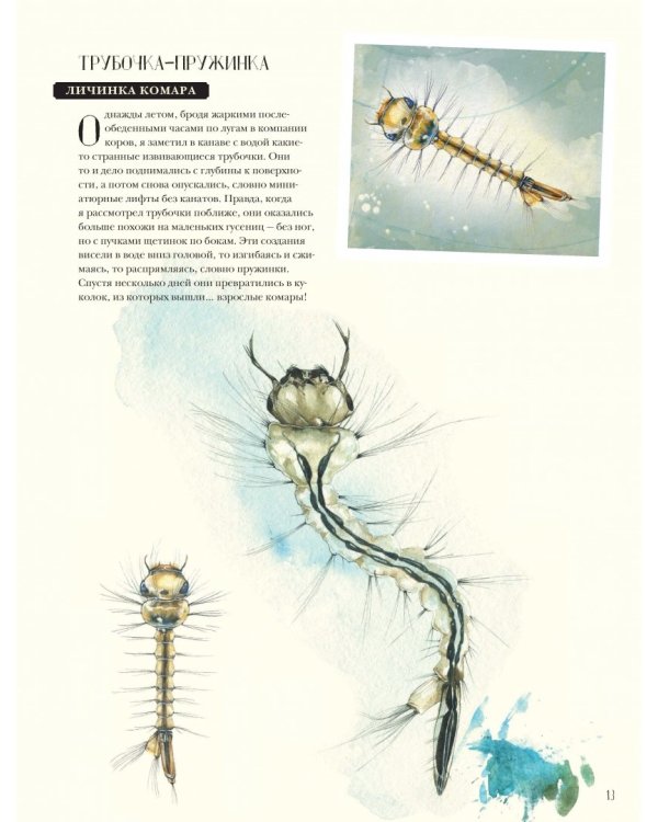 Музей живых насекомых