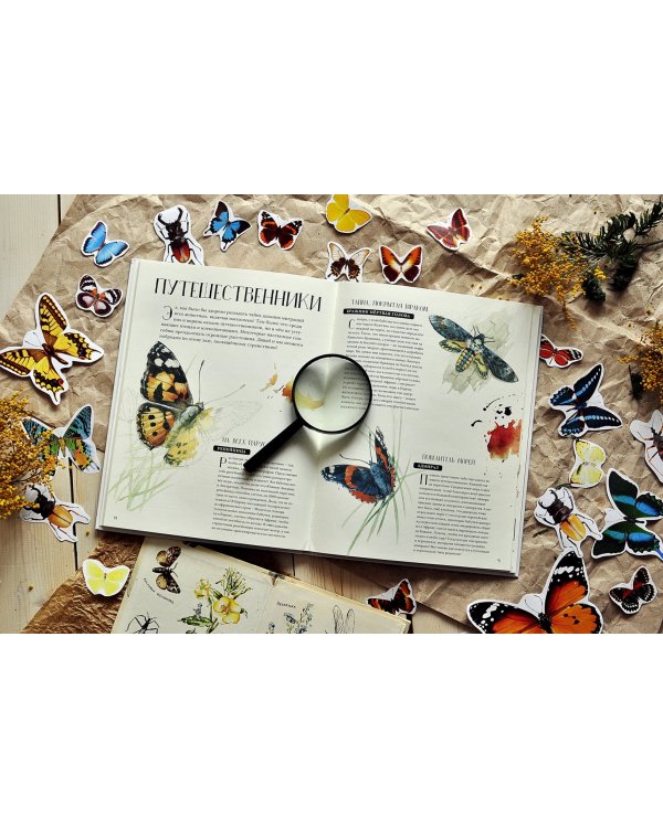 Музей живых насекомых