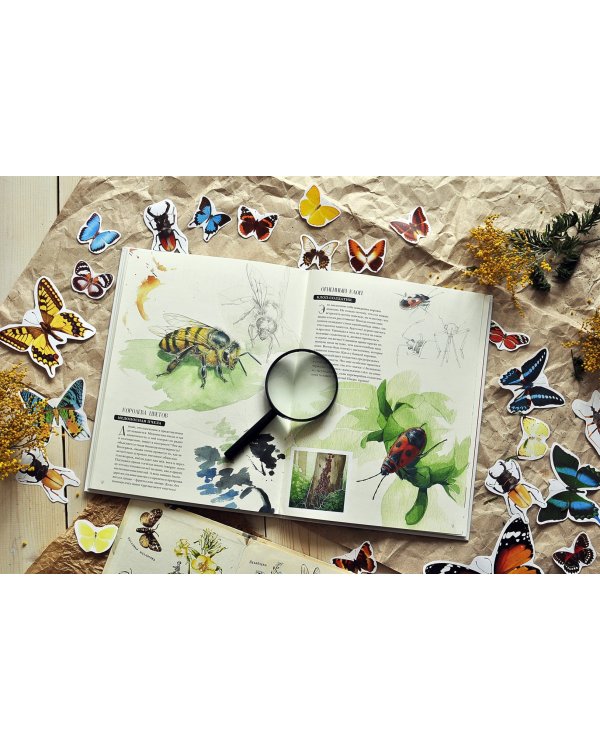 Музей живых насекомых