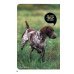 National Geographic Kids How To Speak Dog. A Guide to Decoding Dog Language