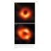 Black Holes. The Key to Understanding the Universe