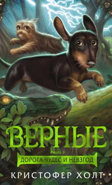 Обложка книги «Верные.Кн.3.Дорога чудес и невзгод» — Холт К., ISBN 9785389158795