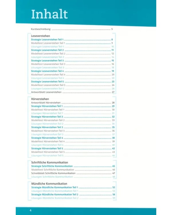 Kompakt Mit Erfolg zum DSD I PRO. Buch + Online
