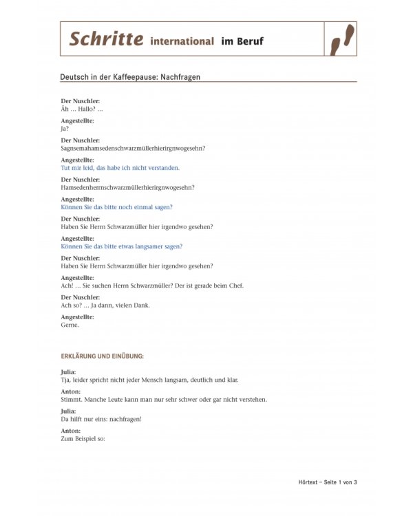Schritte international im Beruf 3-6. 2 Audio-CDs mit Transkriptionen. Deutsch in der Kaffeepause