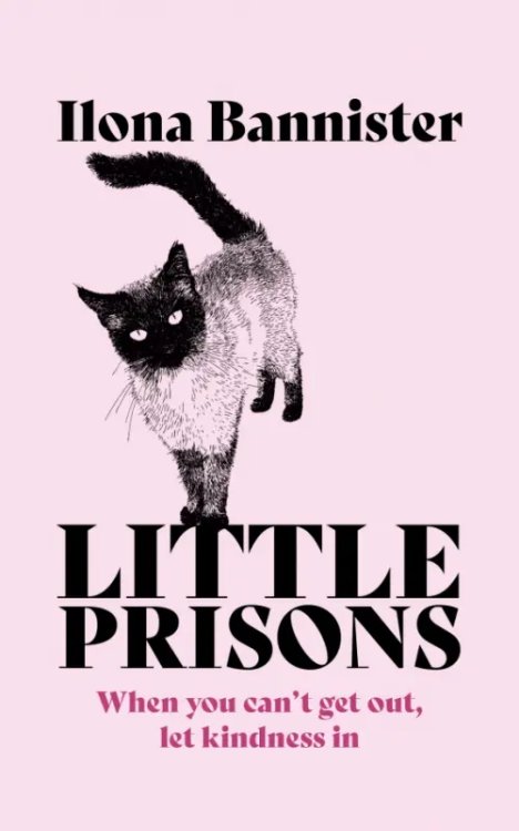 Little Prisons Little Prisons