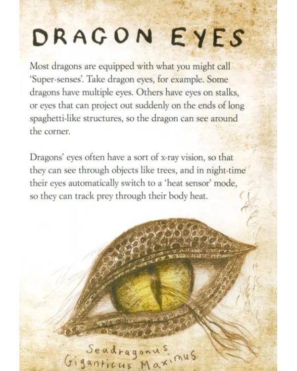 Дополнительное изображение книги «How to Train Your Dragon. Incomplete Book of Dragon»