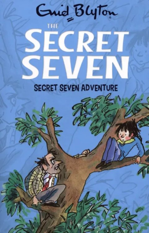 The Secret Seven Secret Seven Adventure
