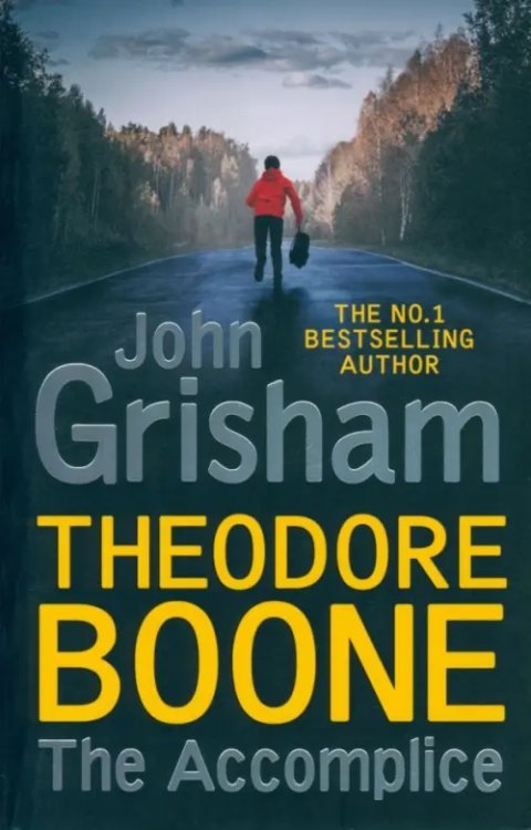Theodore Boone. The Accomplice