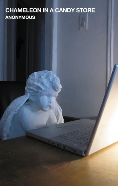 Oxygen Thief Diaries Chameleon in a Candy Store