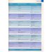New Total English. Elementary. Flexi Course book 2. Students' Book + Workbook with Active Book