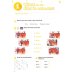 Now I Know! Level 1. I Can Read. Workbook with App