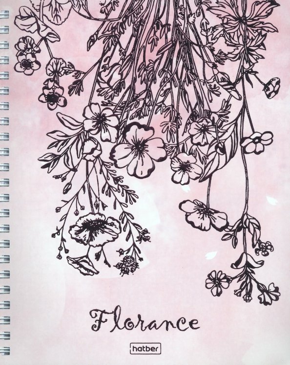 Тетрадь Florance, 96 листов, А5, клетка, гребень, в ассортименте Тетрадь Florance, 96 листов, А5, клетка, гребень, в ассортименте