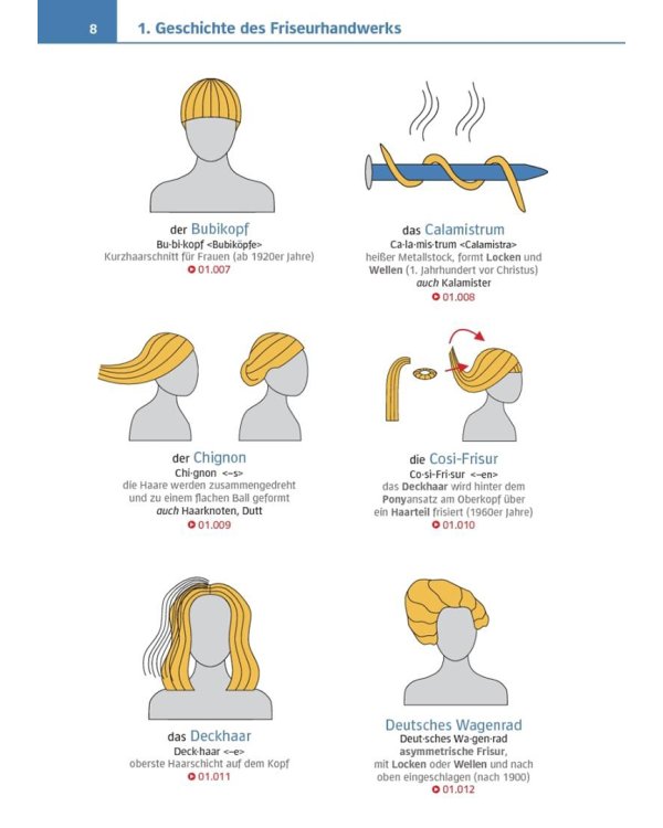 Visuelles Fachwörterbuch Friseurhandwerk. Buch mit MP3-Download