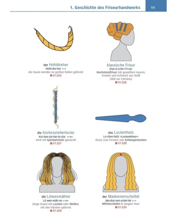 Visuelles Fachwörterbuch Friseurhandwerk. Buch mit MP3-Download