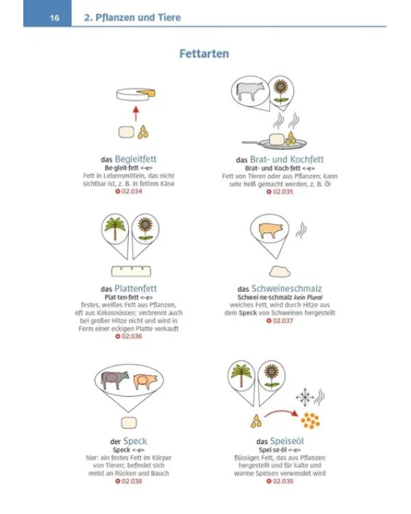Visuelles Fachwörterbuch Koch-Köchin. Buch mit Audios online