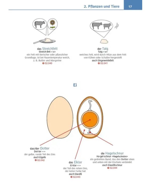 Visuelles Fachwörterbuch Koch-Köchin. Buch mit Audios online