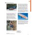 Pingpong Neu 2. Lehrbuch. Dein Deutschbuch. Deutsch als Fremdsprache