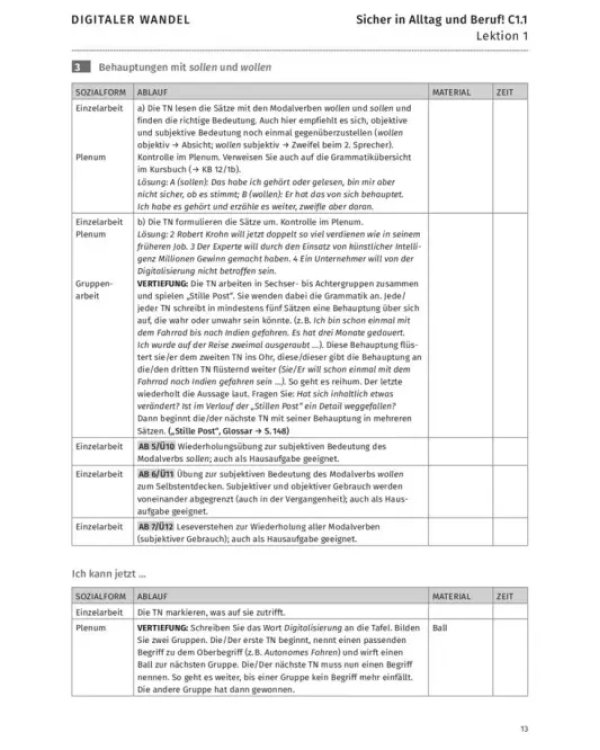 Sicher in Alltag und Beruf! C1.1. Lehrerhandbuch. Deutsch als Zweitsprache