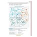 Vielfalt B2.2. Kurs- und Arbeitsbuch plus interaktive Version. Deutsch als Fremdsprache