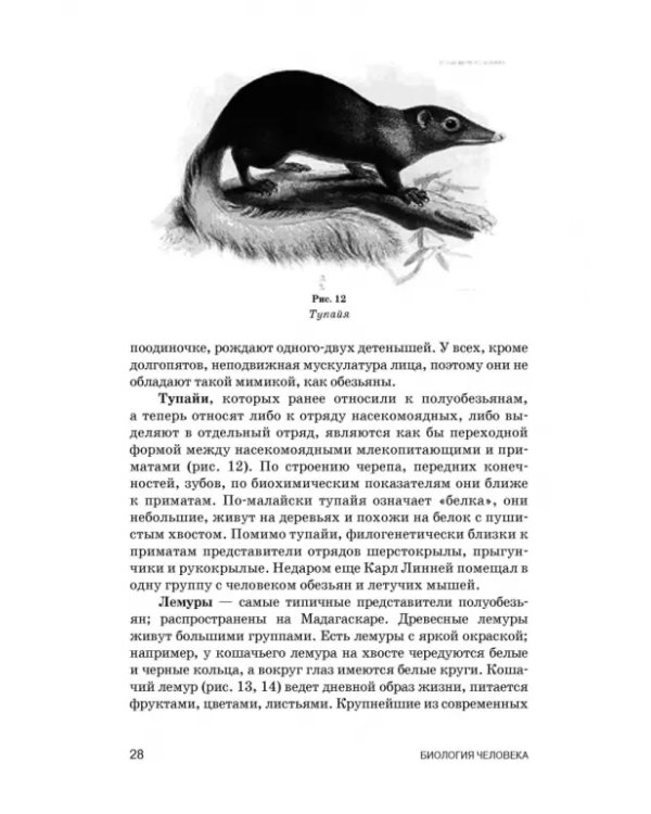 Биология человека. Учебник для вузов