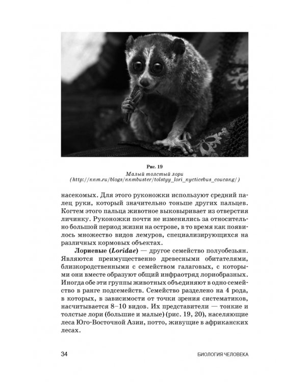 Биология человека. Учебник для вузов