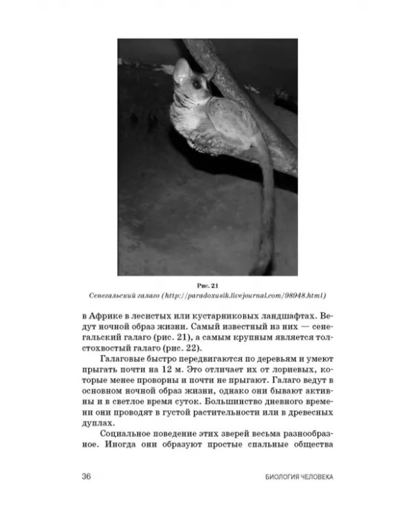 Биология человека. Учебник для вузов