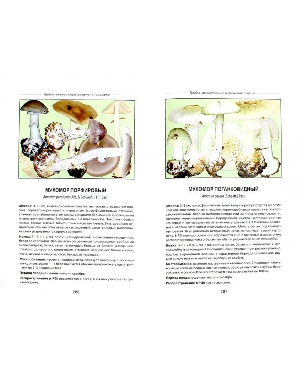 Ядовитые грибы России