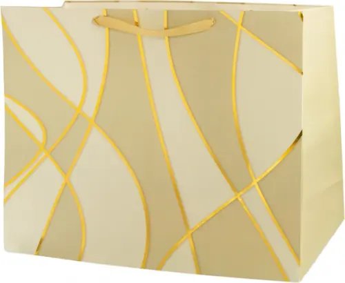 Пакет подарочный Пакет подарочный