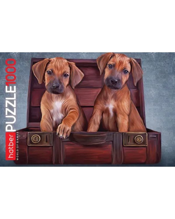 Puzzle-1000 Четыре лапки