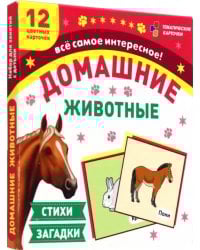 Домашние животные. 12 цветных карточек. Стихи и загадки