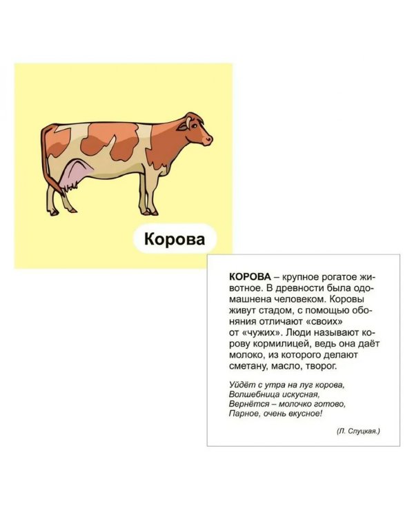 Домашние животные. 12 цветных карточек. Стихи и загадки
