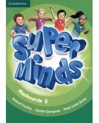 Super Minds. Level 2. Flashcards