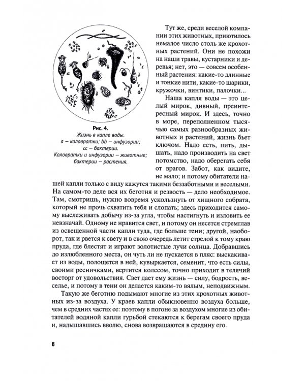 Жизнь в капле воды