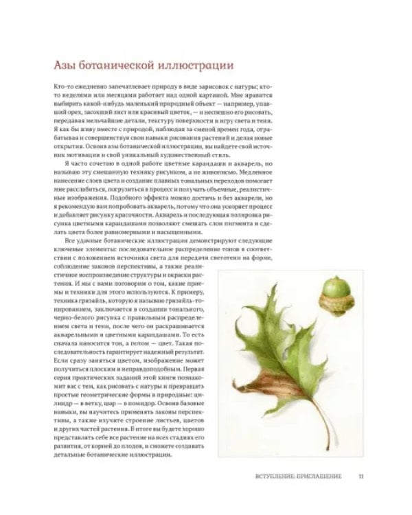 Ботаническая иллюстрация с удовольствием. Пошаговое руководство по изображению цветов, листьев