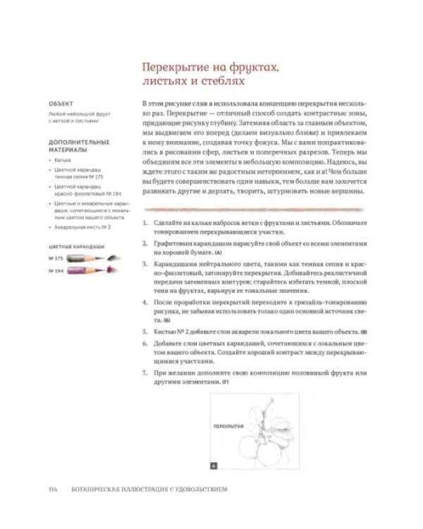 Ботаническая иллюстрация с удовольствием. Пошаговое руководство по изображению цветов, листьев