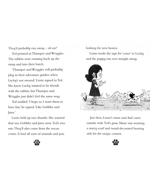 Lizzie and Lucky. The Mystery of the Disappearing Rabbit