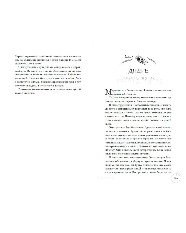 Ведьмы Тихого ручья. Колдовской сезон