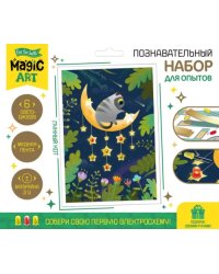 Набор для опытов Лунный кот