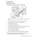 A Fishy Business. Workbook