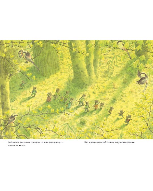 14 лесных мышей. Пикник