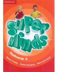 Super Minds. Level 4. Flashcards