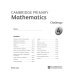 Cambridge Primary Mathematics. Challenge 4