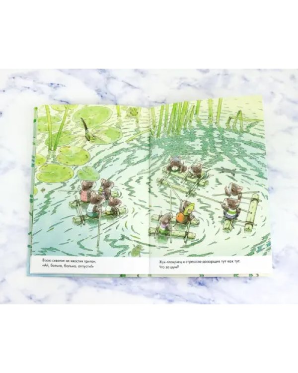 14 лесных мышей. Стрекозиный пруд