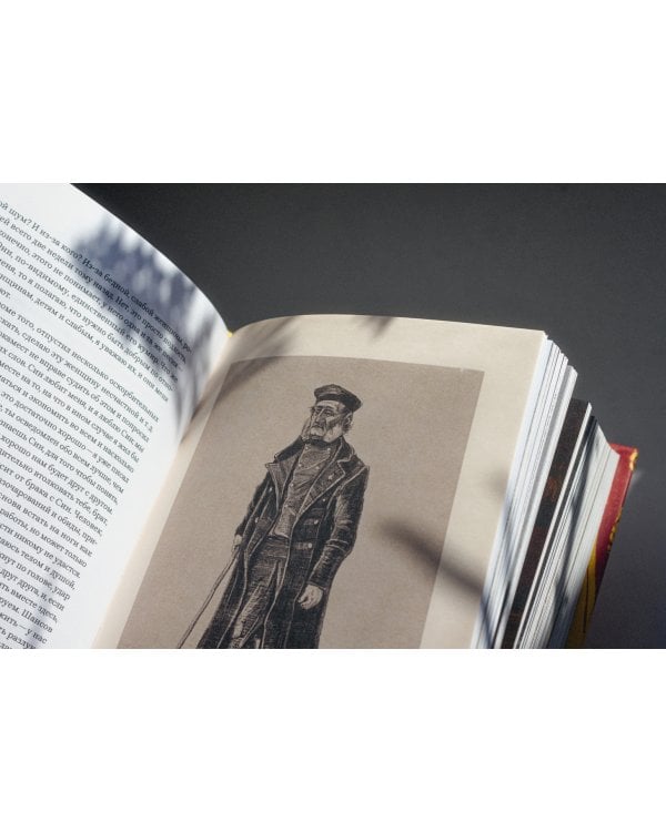 Письма. 1872-1886