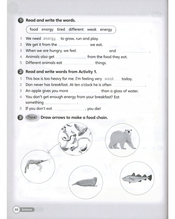 Super Minds. Level 3. Workbook Pack with Grammar Booklet