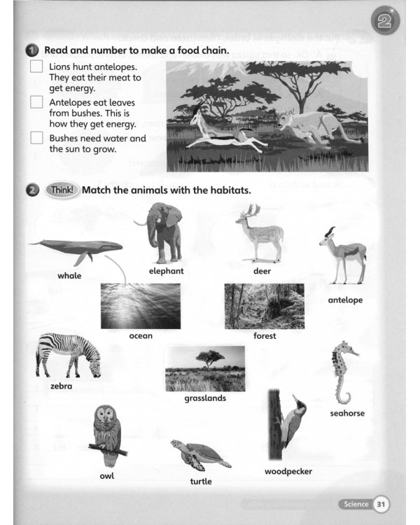 Super Minds. Level 3. Workbook Pack with Grammar Booklet