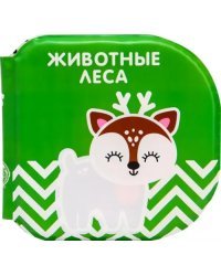 Книжка-раскраска для игры в ванне по методике Гленна Домана. Животные леса