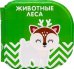 Обложка книги «Книжка-раскраска для игры в ванне по методике Гленна Домана. Животные леса»