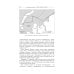 В тени первых Героев. Белые пятна челюскинской эпопеи